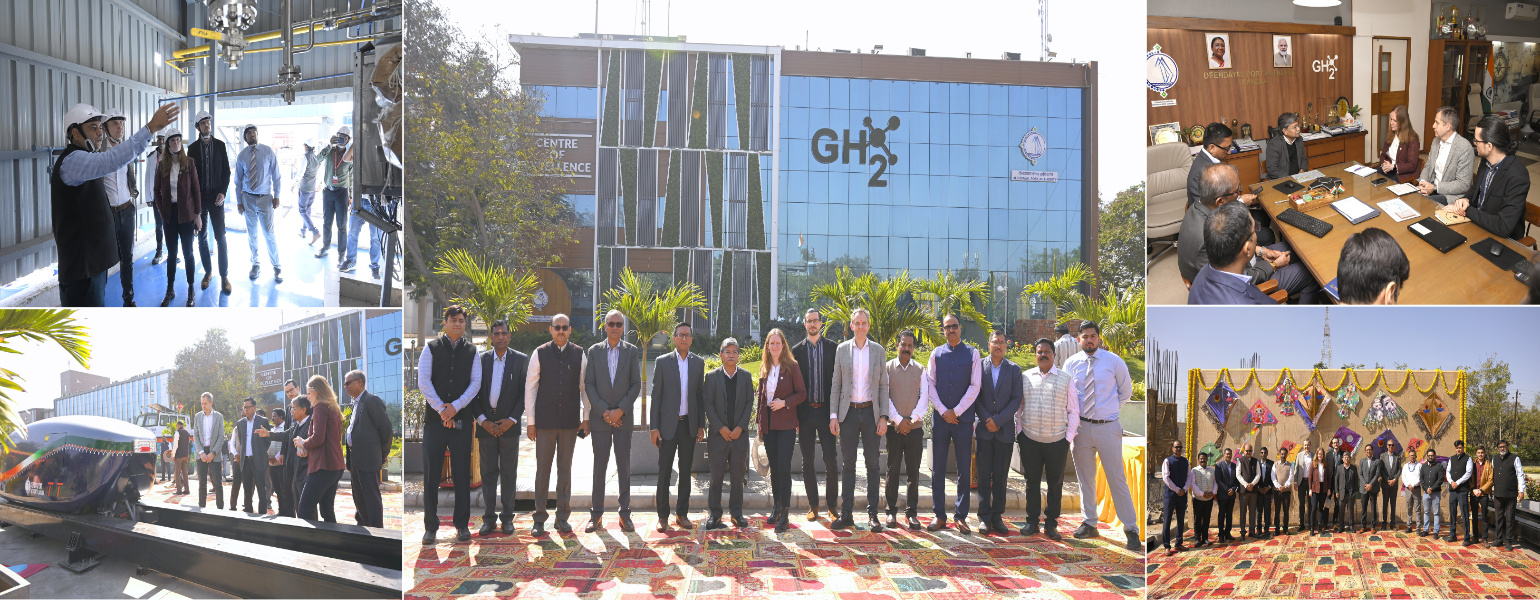 International Delegation